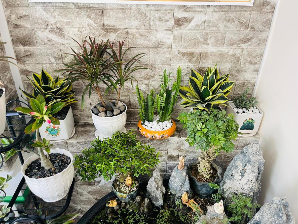 Chi Khu Co Ong Duy Canh Homestay מראה חיצוני תמונה
